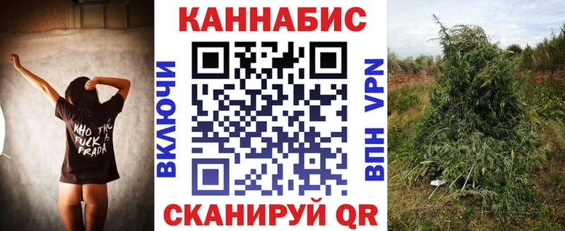 мориарти Telegram  где продают наркотики  Лениногорск  Каннабис ГИДРОПОН 